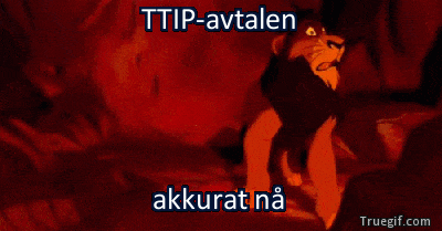 TTIP right now