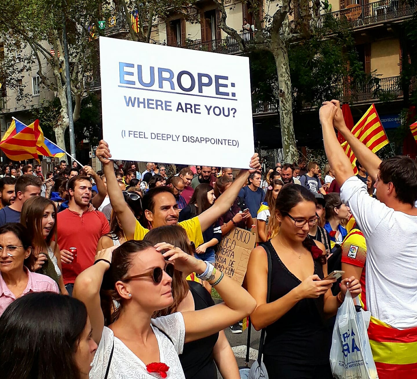Demonstrant bærer plakat med "Europe where are you? (I feel disappointed)"