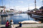 Aktivistsamling i Arendal 14.-15. august og Arendalsuka 2021