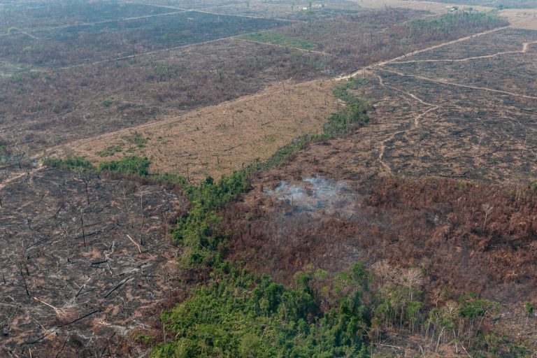 Nedbrente områder i Amazonas