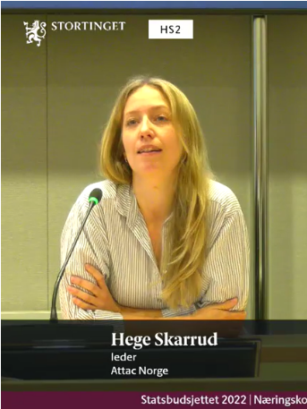 Hege Skarrud, leder i Attac Norge, under høringen på Stortinget.
